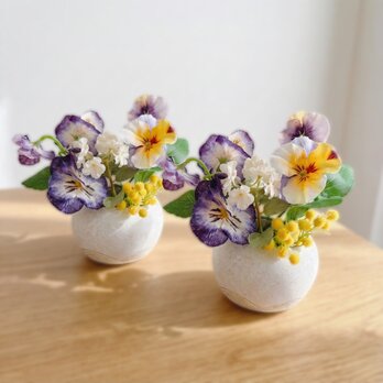 ビオラとミモザのフラワーポット　Spring 季節の花シリーズ
