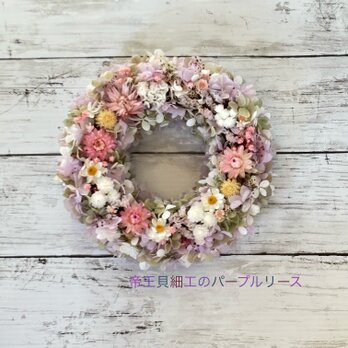 待ちきれない春！帝王貝細工のパープルカラーリース