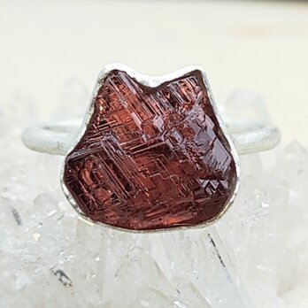 偶然ニャンコのガーネット＊ｽﾍﾟｻﾙﾃｨﾝ 925 ring