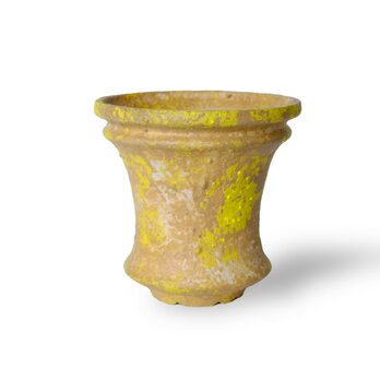 パルバコステリッチオ / M / 現代色（鉢・プランター）