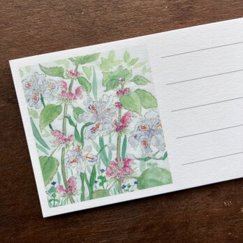 メッセージカード【春の草花】