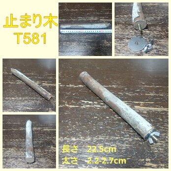 止まり木（枝：TOY-08-015）T581