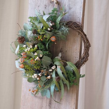 瀬戸内の森のハーフリース