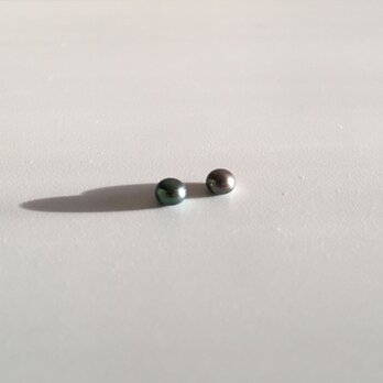 小粒ぷっくりブラックパールピアス