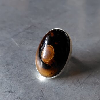 タイガーアイシルバーリング#12