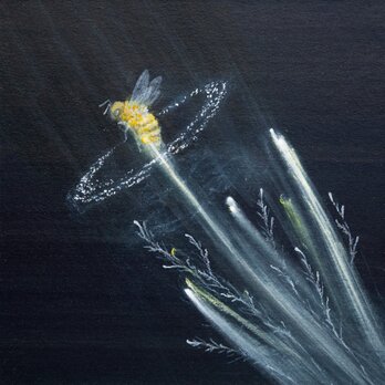 ポストカード２枚セット「ミツバチ」「月光」