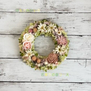 待ちきれない春！若草色の春リース