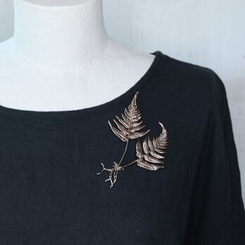 植物標本ブローチ｜オブジェ [シダ植物]