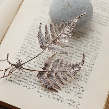 植物標本ブローチ｜オブジェ [シダ植物]