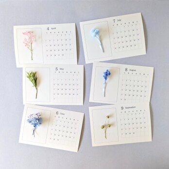 特別価格】4月始まりカレンダー 植物標本　草花標本　紫陽花 かすみ草  プリザーブドフラワードライフラワー
