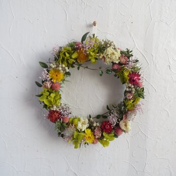 (再販5）Spring  Wreath（風の通り道）