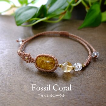 フォッシルコーラル（インドネシア産）化石珊瑚・天然シトリン マクラメ編みブレスレット 誕生日プレゼントギフト 3818