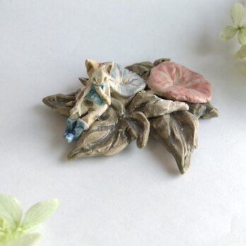 朝顔　ねこ天使　【花といっしょ】