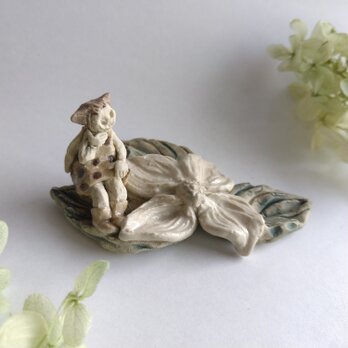 ヤマボウシ　ねこみみ天使　【花といっしょ】