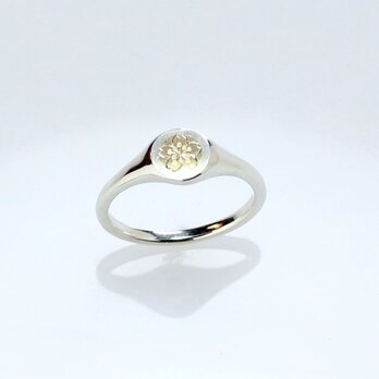 Sv925＆K10象嵌リング 桜彫り