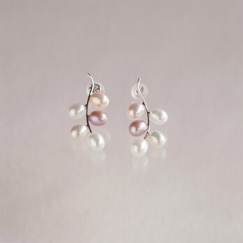 パールピアス ハーヴェスト K14WG