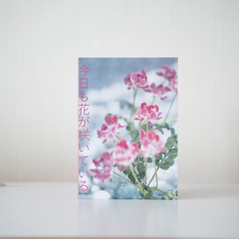 今日も花が咲いている