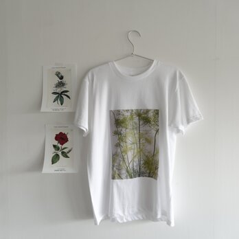フラワープリントTシャツ"Dill"