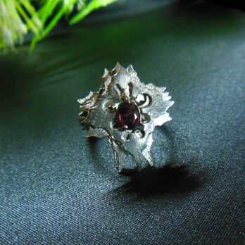 レッドサファイア　リング