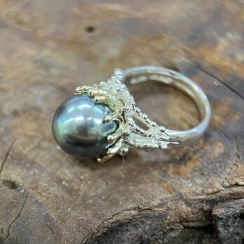 K14/silver南洋パールリング(送料無料)