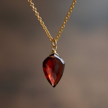 ✨1月誕生石✨ モザンビークガーネット＜アローヘッド＞のネックレス（K14GF）