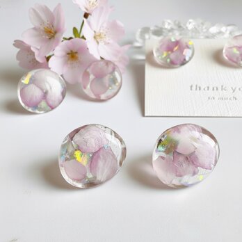 SAKURA – 淡き夢　サージカルステンレス　金属アレルギー対応