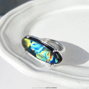 スペクトロライト リング / Spectrolite Ring 235