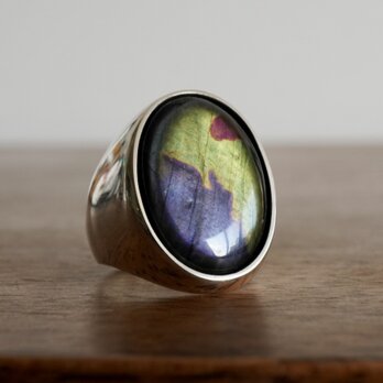 spectrolite ring (purple&yellow)