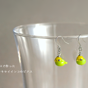 ガラスで作ったセキセイインコ・ピアス
