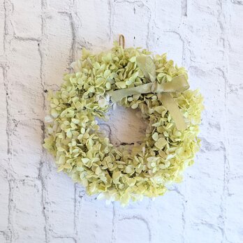 ＊プリザーブドフラワー＊アジサイのリース（ホワイトグリーン）[p20261006]