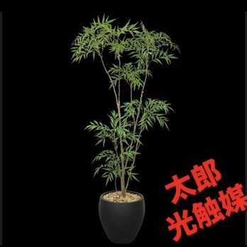 光触媒　人工観葉植物　ウォールグリーン　フェイクグリーン　マホニア