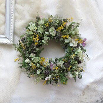 (再販）真珠葉ミモザとオレガノのリース