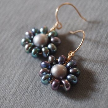 14kgf ピーコックカラーパールフラワーピアス k14gf　真珠　ブルー　ケシパール