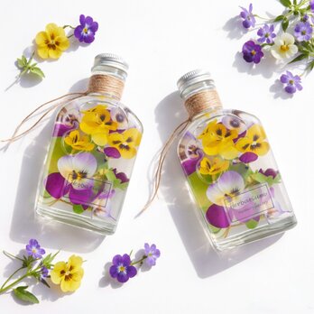 春ビオラのハーバリウム  spring   フラワーギフト