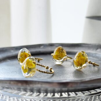 感謝と敬意を伝える花ミモザを、そっと指先に宿して。ミモザのレジン指輪（フリーサイズ）