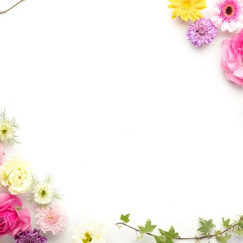 mistyさまご専用