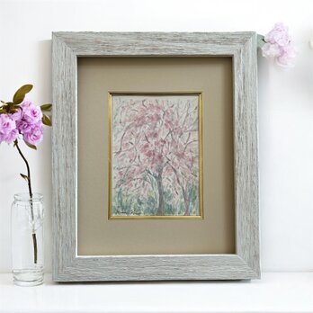 桜（水彩画、原画、桜、額付き）