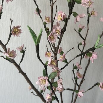 籐の花　桜の枝