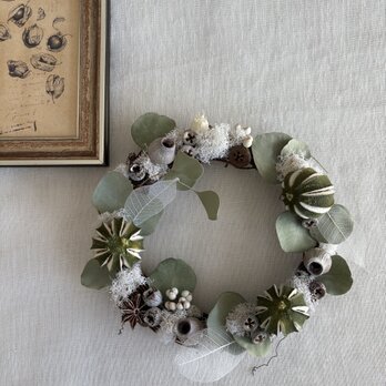 ライムのリース