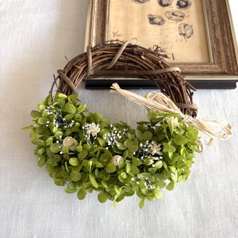 グリーンリース