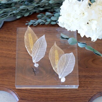 ダブルリーフとパール/クリスタルのブローチ（2タイプ） #1292