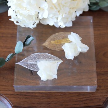 リーフとカシワバアジサイのブローチ（2カラー） #1293