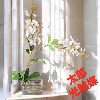 光触媒　人工観葉植物　ウォールグリーン　フェイクグリーン　マジカルウォーター　エリスリナ