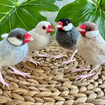 文鳥のオーダー　羊毛フェルト