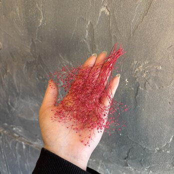 【プリザーブドフラワー 花材】ミニかすみ草（ワイン） 2g 箱入り 大地農園｜ハンドメイド・レジン・ハーバリウム用