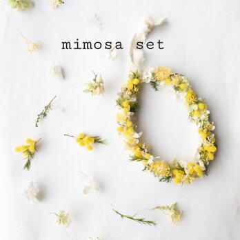 ミモザのミニリースとモビールセット ナチュラルインテリア　春　ふわふわ　春の福袋