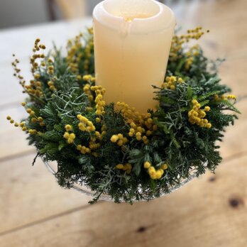 ♦受注制作♦ 早春ミモザのリース  ~春の足音