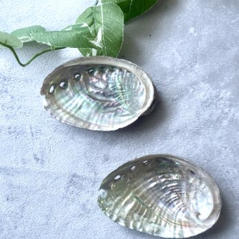 アバロンシェルトレイ