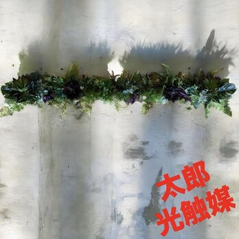 光触媒　人工観葉植物　ウォールグリーン　フェイクグリーン　壁掛け