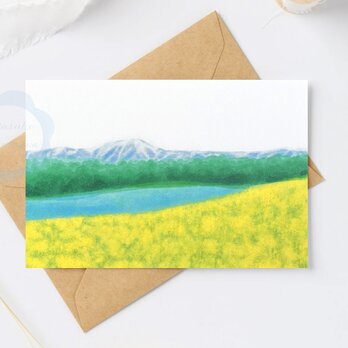 75）菜の花と残雪の山と湖の風景　ポストカード　3枚セット